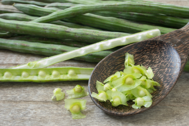 Moringa Samen 