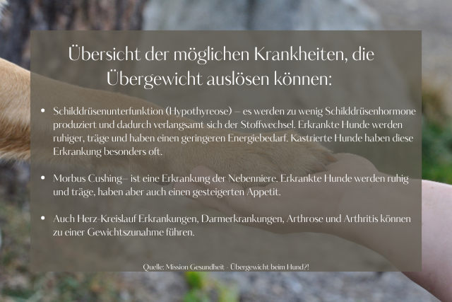 Mögliche Krankheiten + Übergewicht