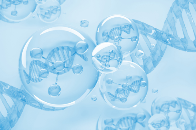 DMSO und ätherische Öle