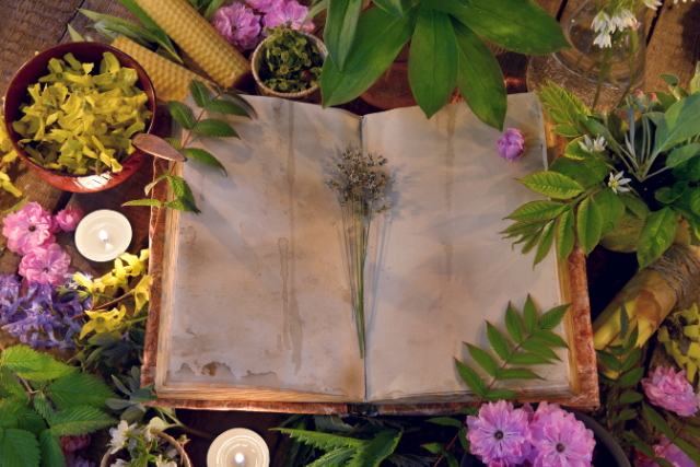 Hexenkräuter und Zauberpflanzen