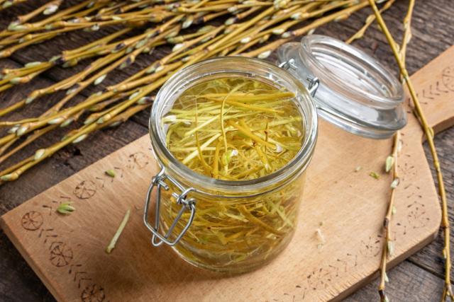 Hexenkräuter und Zauberpflanzen