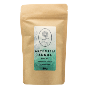 Artemisia annua