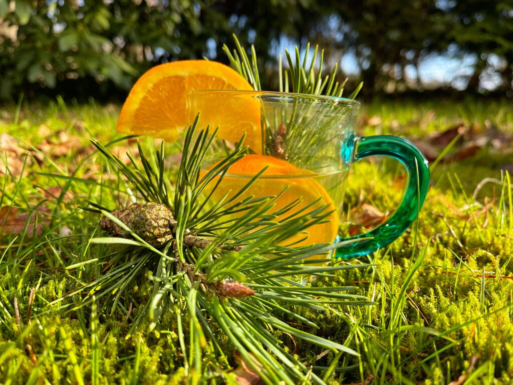 Die Kiefer - Kiefernadeltee mir Orange