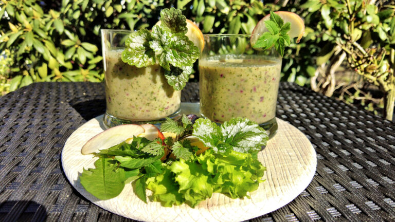 Wildkräuter Smoothie - Smoothie mit Deko