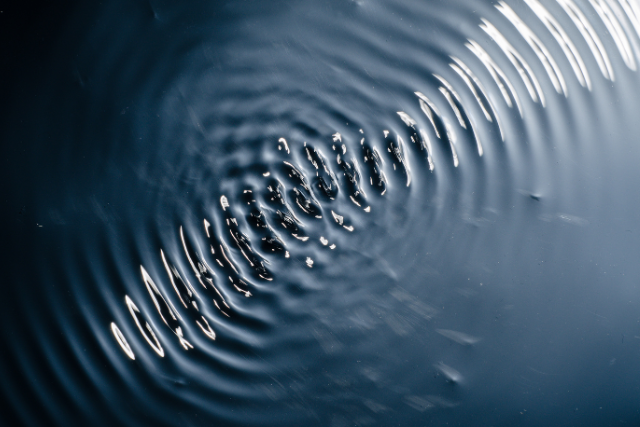 DMSO Ultraschallextrakte